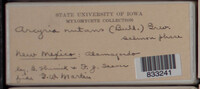 Image Associated With the Occurence